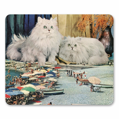 Cats beach - best mouse mats from UK, buy on Art Wow